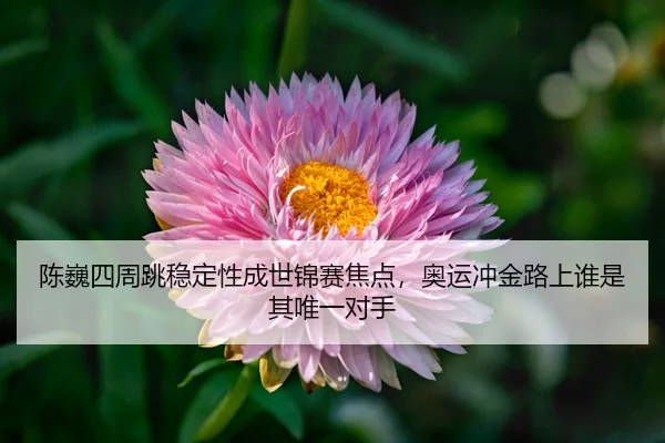 chen-wei-si-zhou-tiao-wen-ding-xing-cheng-shi-jin-sai-jiao-dian-ao-yun-chong-jin-lu-shang-shui-shi-qi-wei-yi-dui-shou-3-597.jpg