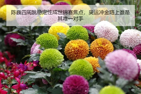 陈巍四周跳稳定性成世锦赛焦点，奥运冲金路上谁是其唯一对手
