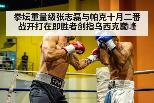拳坛重量级张志磊与帕克十月二番战开打在即胜者剑指乌西克巅峰