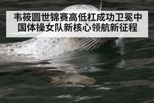 韦筱圆世锦赛高低杠成功卫冕中国体操女队新核心领航新征程