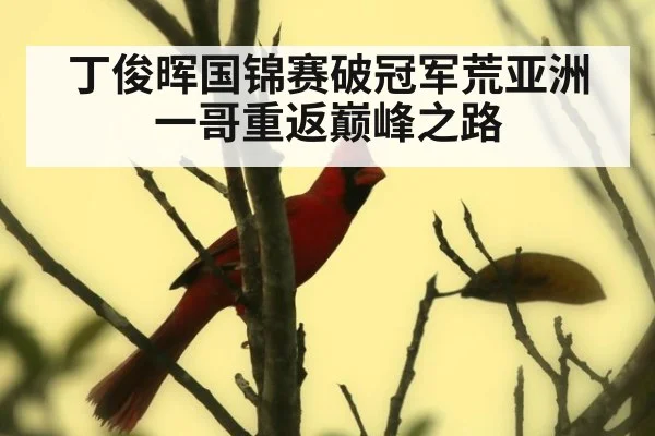 丁俊晖国锦赛破冠军荒亚洲一哥重返巅峰之路
